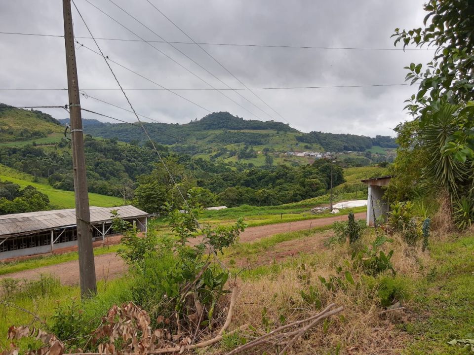Imobiliria Base Sul 