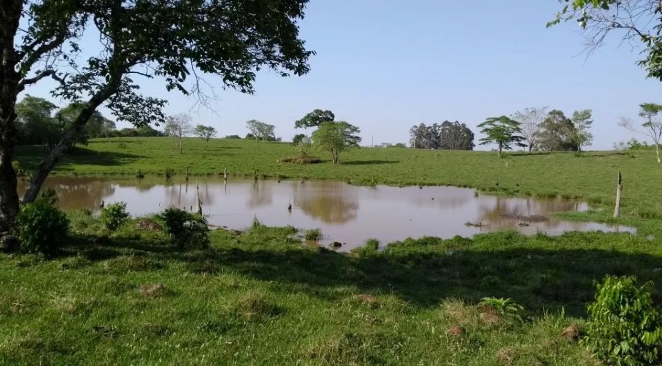 Imobiliária Base Sul FAZENDA NO GOIO-EN, LADO SANTA CATARINA - Fazenda no Goio-en faz divisa com a barragem proximo á chapecó; - São 135 hectares no total ou 55,79 alqueires; - Apenas 29 Km de...