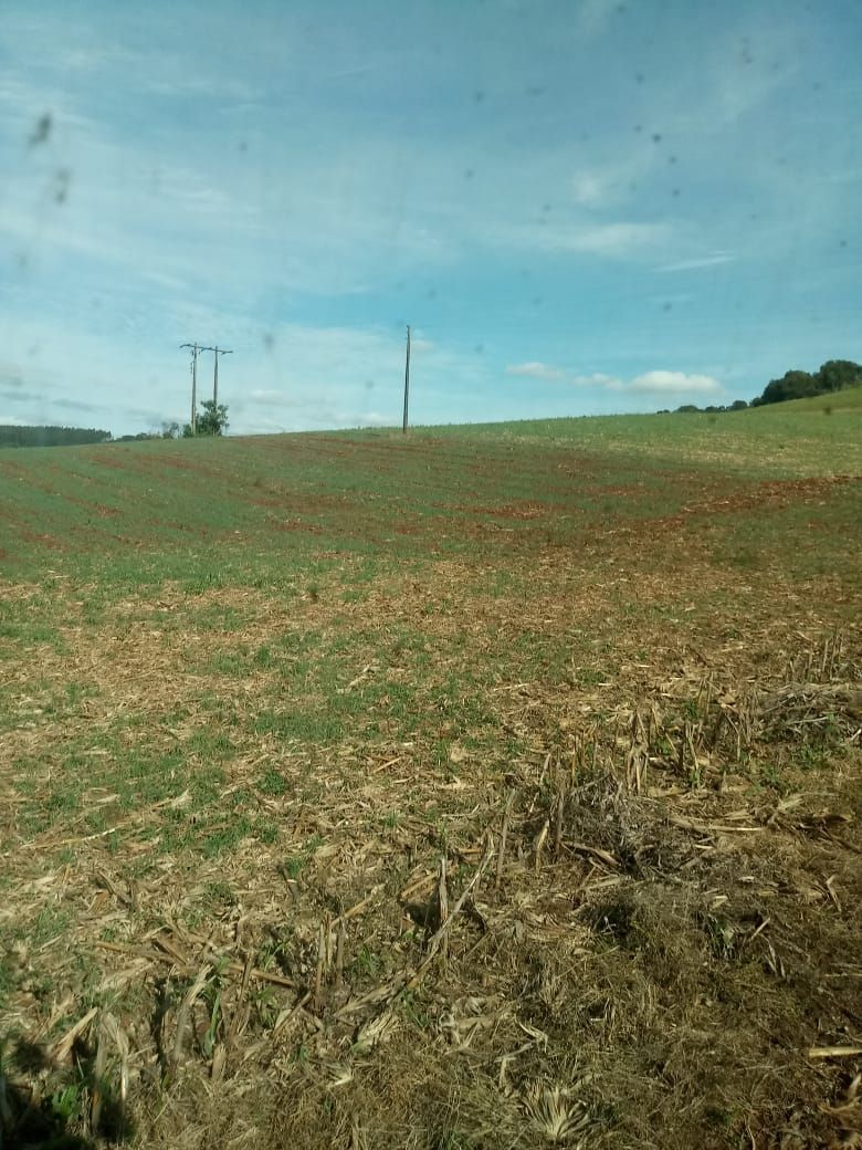 Imobiliria Base Sul - 