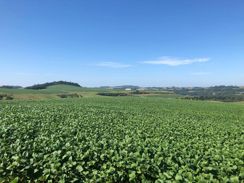 Imobiliria Base Sul - 