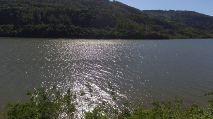 Imobiliria Base Sul - 