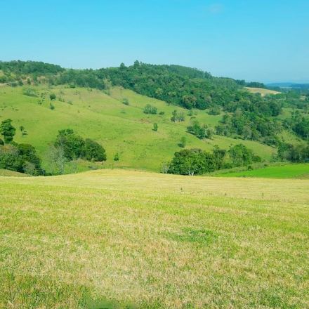 Imobiliria Base Sul - 