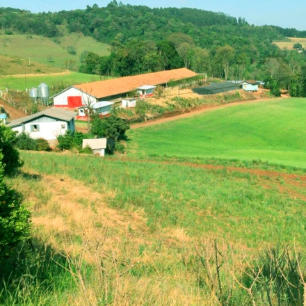 Imobiliria Base Sul - 