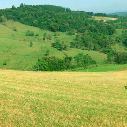 Imobiliria Base Sul - 